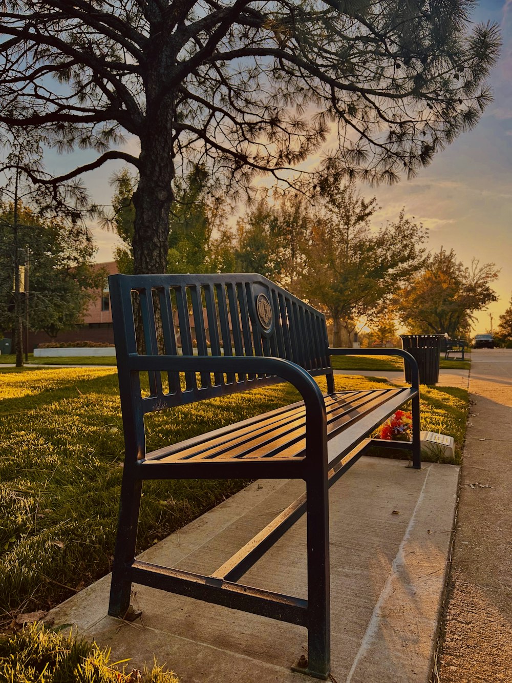 a park bench sitting next to a tree on a sidewalk