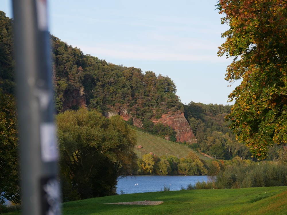 a view of a lake from a distance