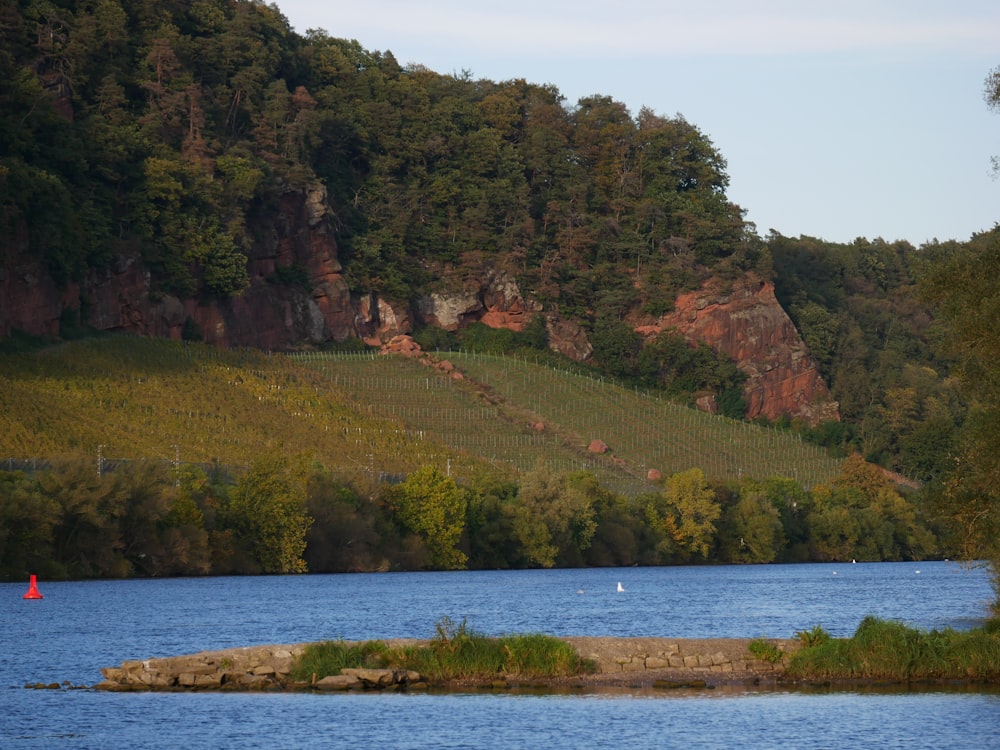 a body of water surrounded by a lush green hillside