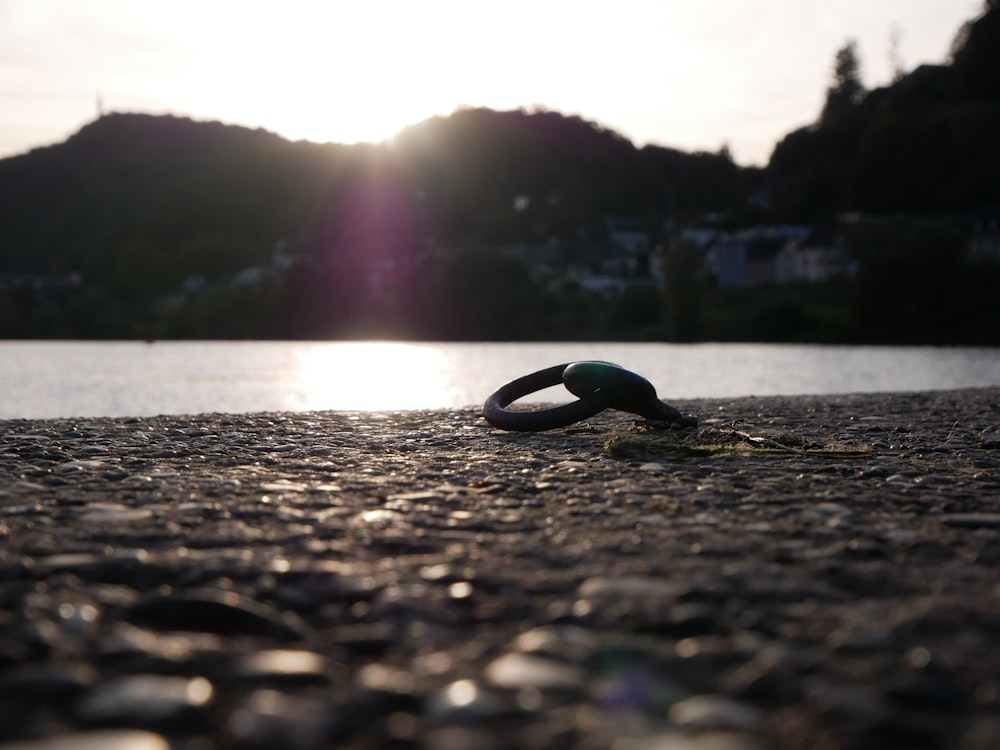 a ring laying on the ground near a body of water