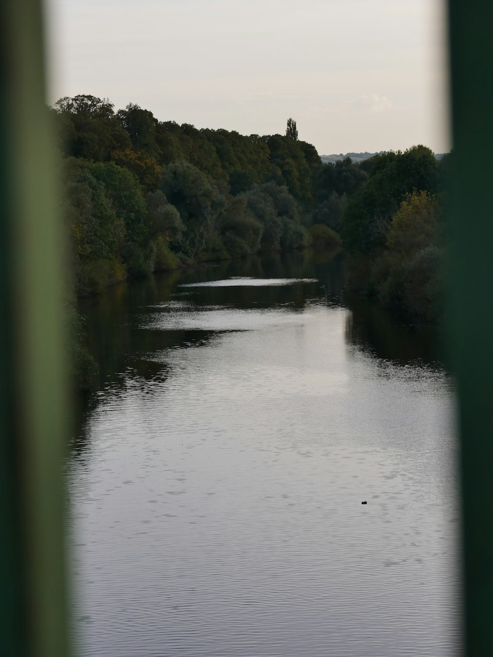 a body of water with trees in the background