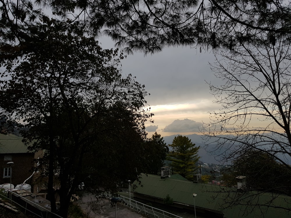 a view of a mountain range through some trees