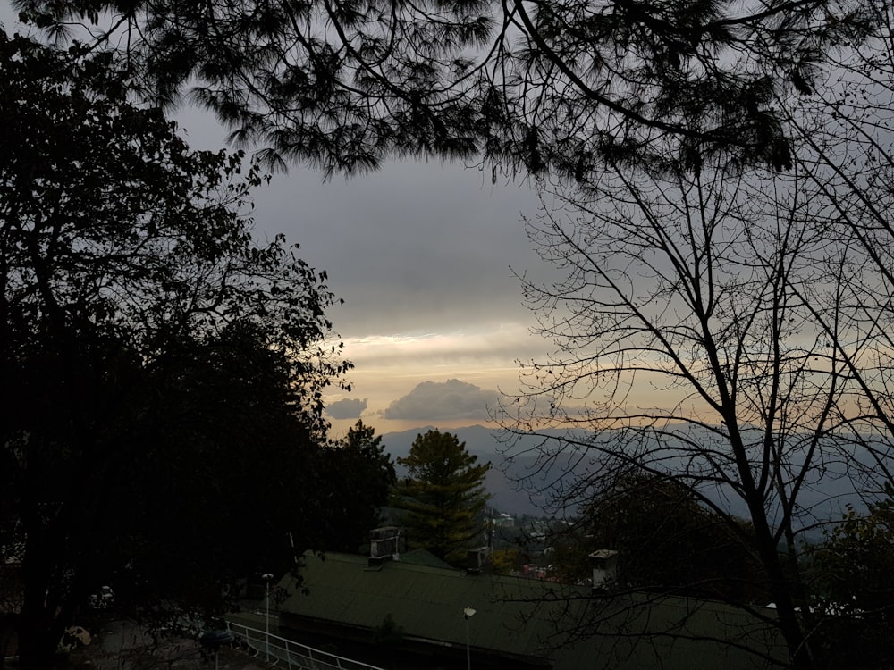 a view of the sky through some trees