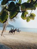 A group of riders speeding along the sandy beach with clear blue skies above.