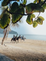 Group of guests enjoying a horseback ride along the sandy beach