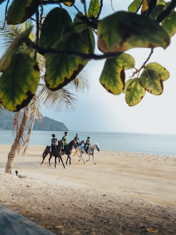 Group of riders crossing shallow turquoise waters at Playa Marbella under clear skies.