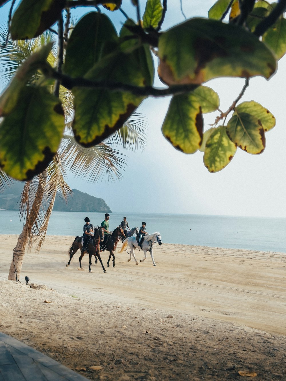 a group of people riding horses on a beach