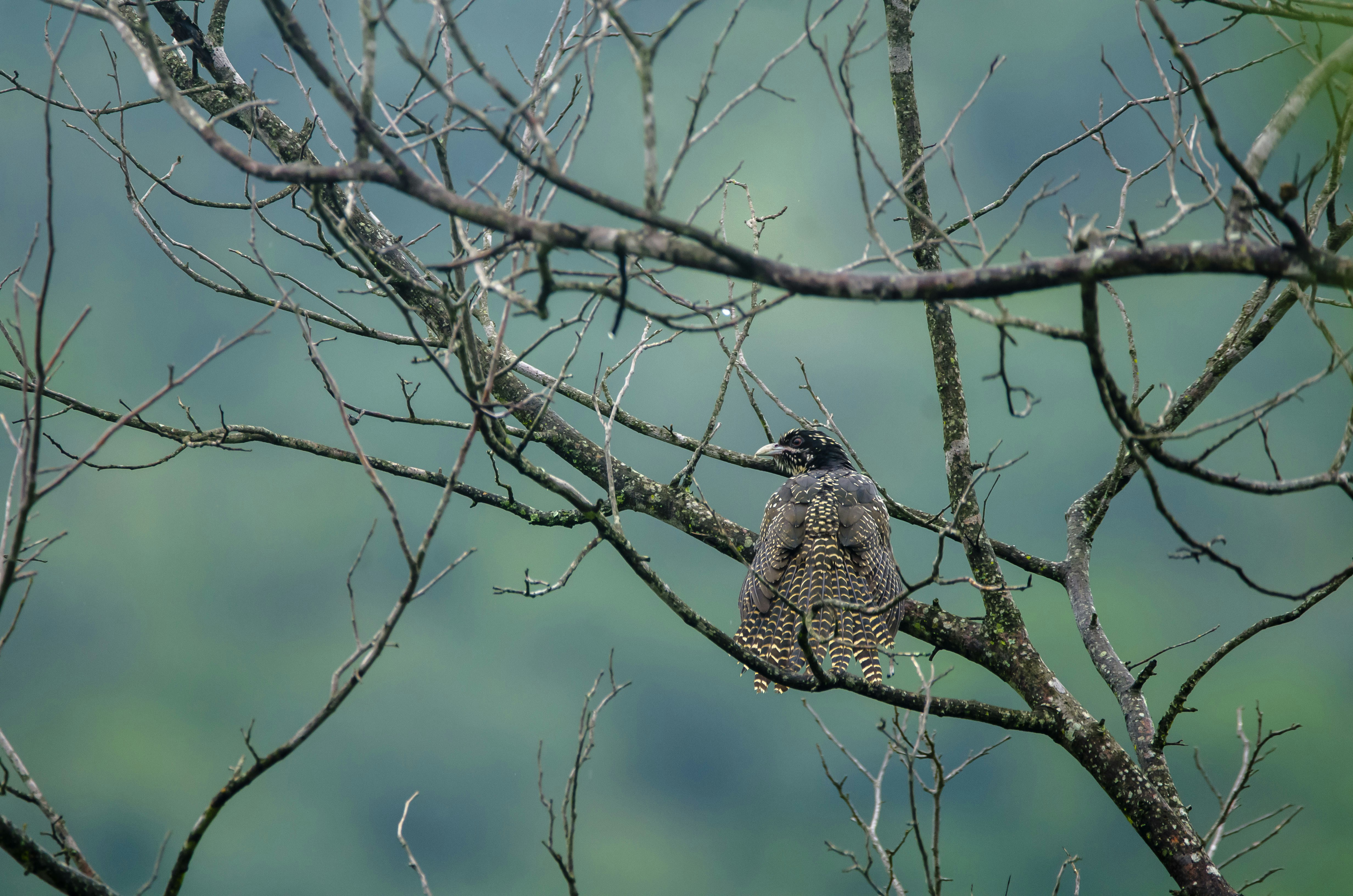 Photo by thehashiphotogrpahy
