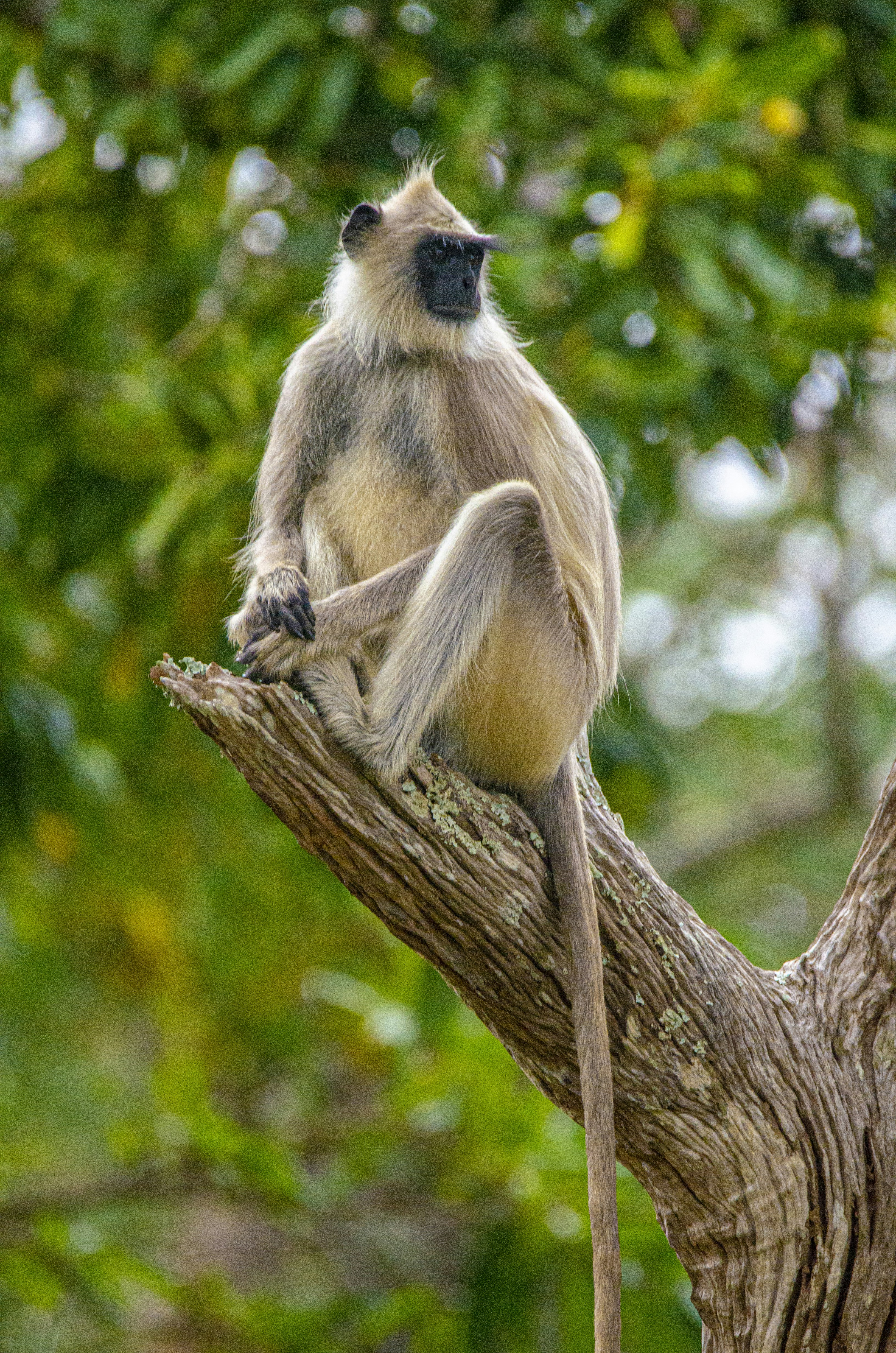 Photo by thehashiphotogrpahy