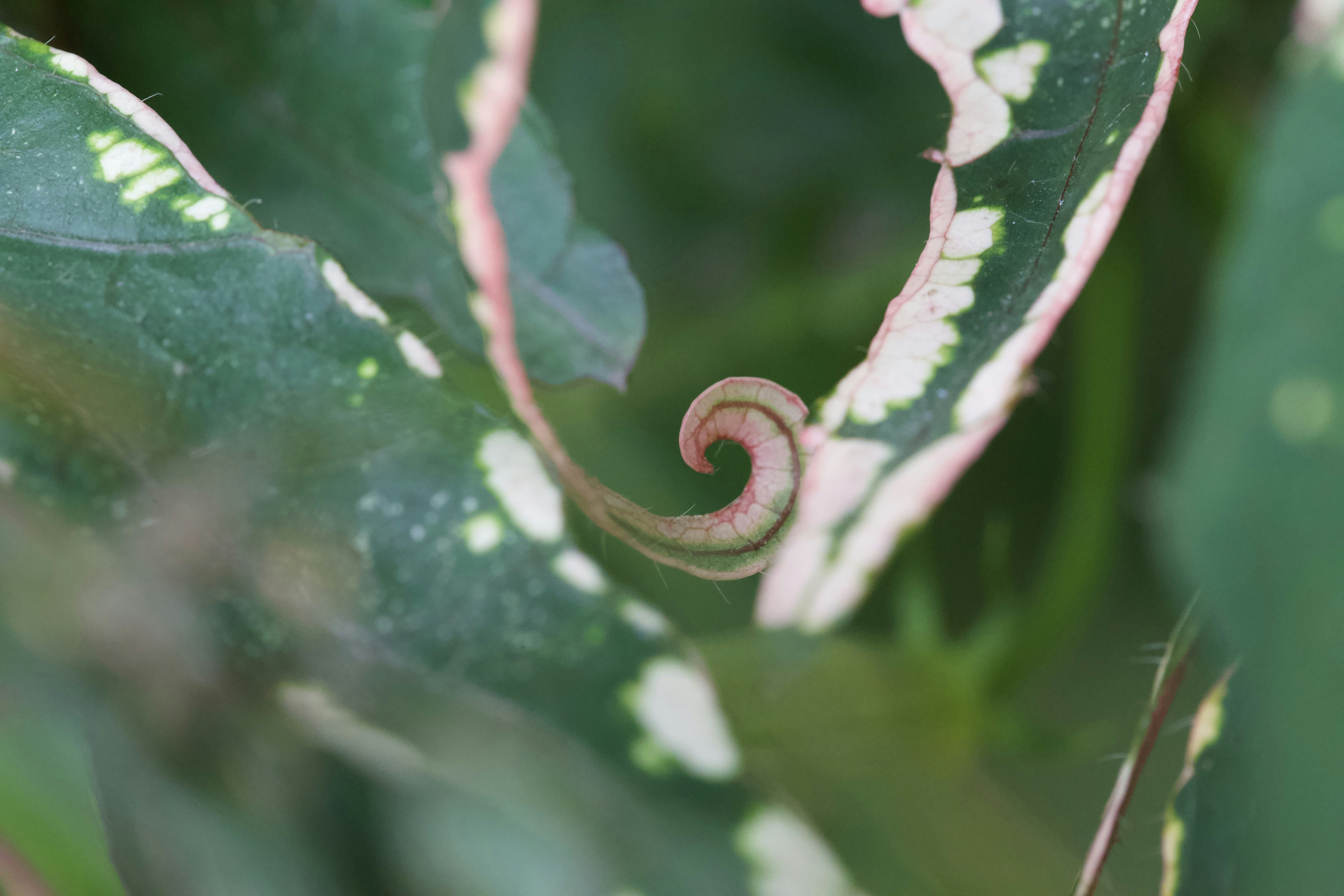 Photo by pumpkinpie_84