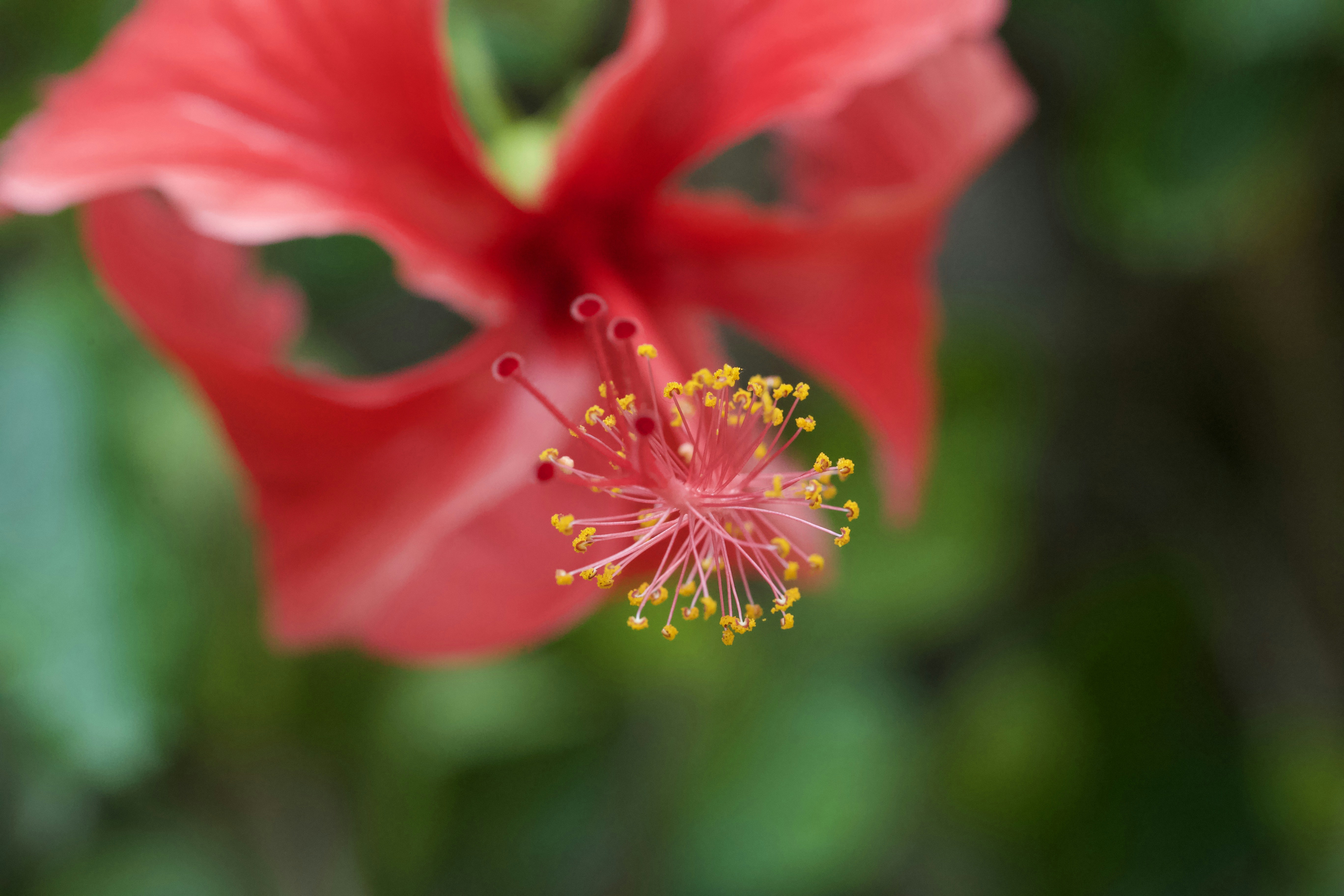 Photo by pumpkinpie_84