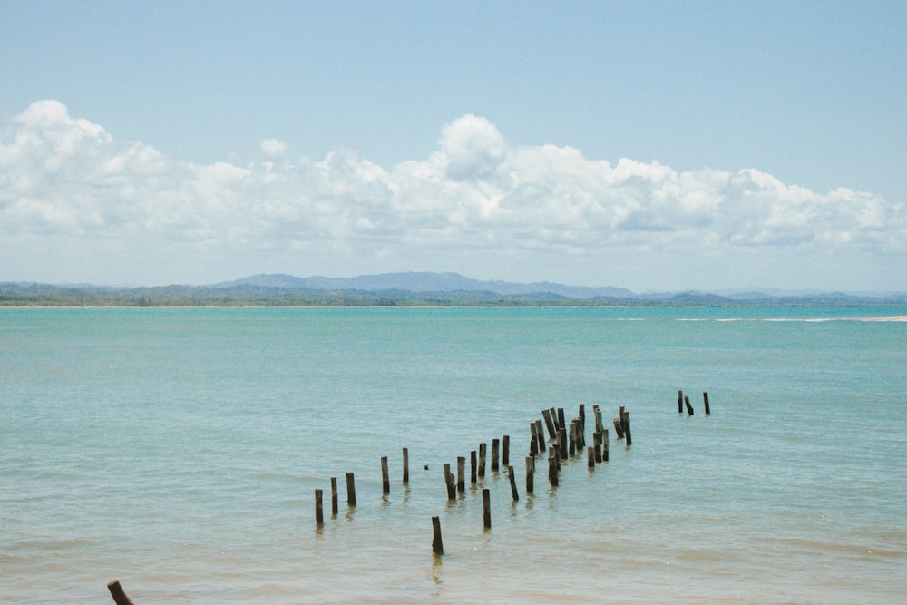 a group of wooden posts sticking out of the water