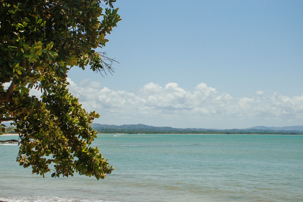 a view of a body of water from a beach