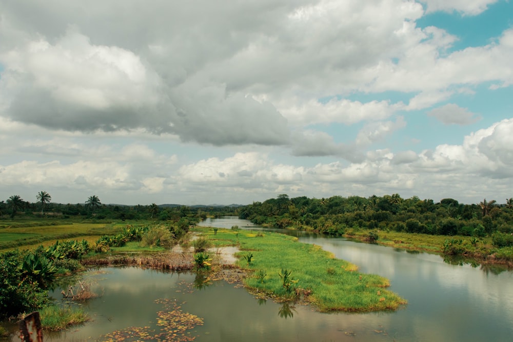 a river running through a lush green forest