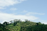 Lush green vegetation covers a hillside under a clear blue sky. A small structure is nestled among the trees, blending with the natural environment.