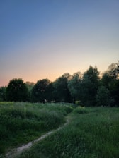 A serene landscape with a winding path leading through lush greenery, symbolizing a journey of self-discovery.