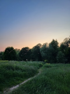 A serene landscape with a winding path leading to a horizon.