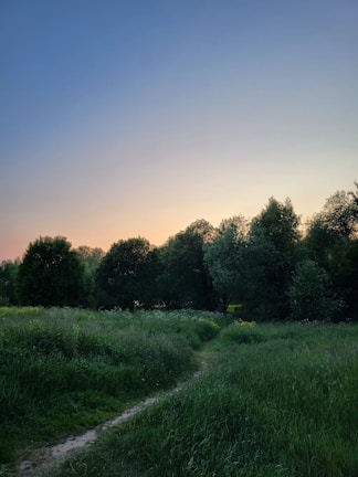 A serene landscape with a winding path leading into the horizon.