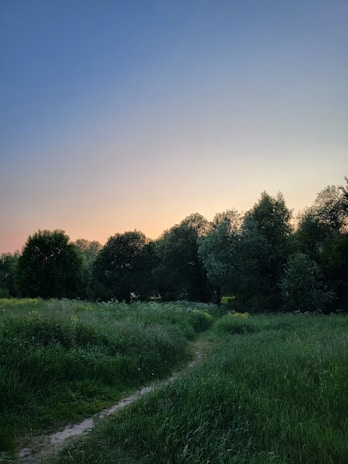 A serene landscape with a winding path leading into the horizon.