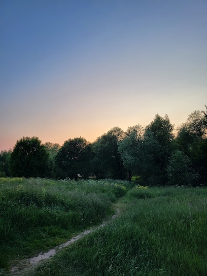 A serene landscape with a winding path leading to a horizon.