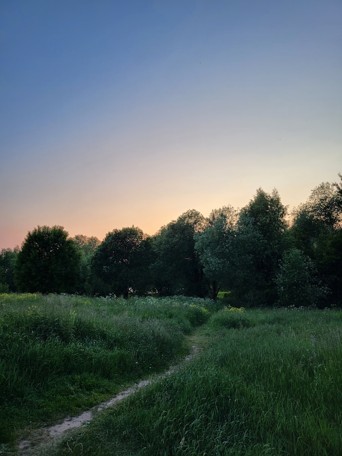 A serene landscape with a winding path leading into the horizon.