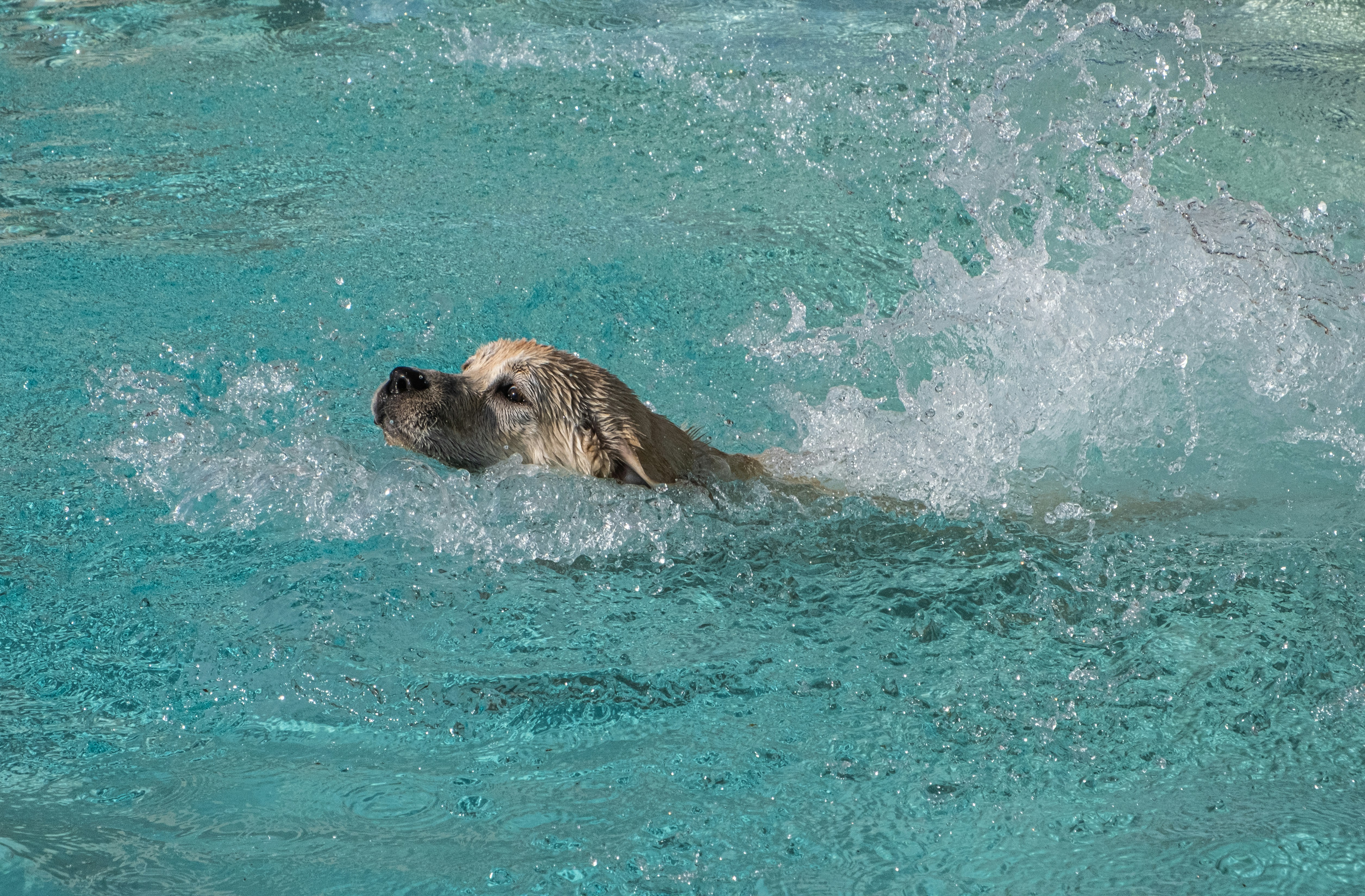 Photo by cestmoisheedy