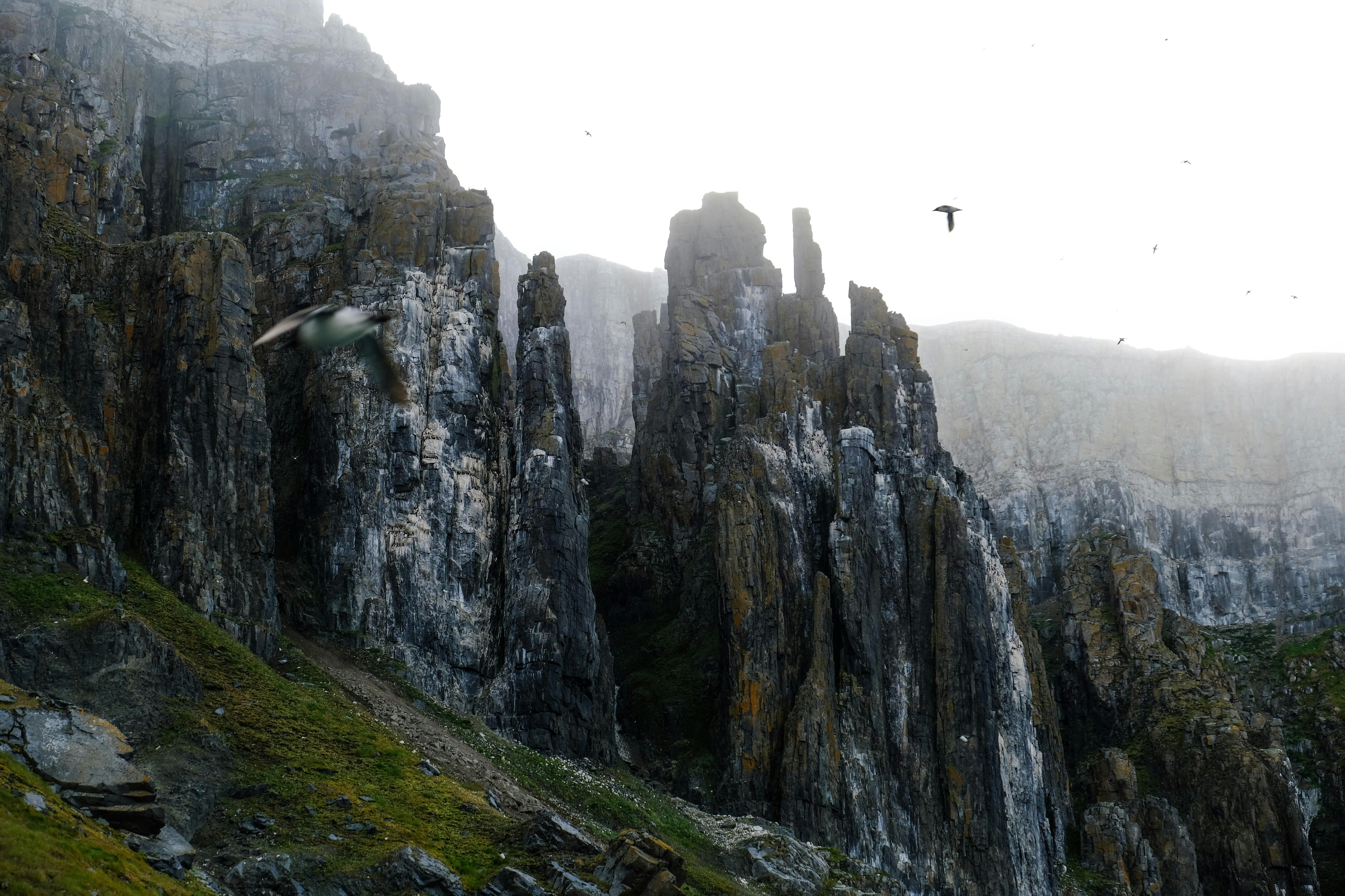 Photo by francesco_ungaro