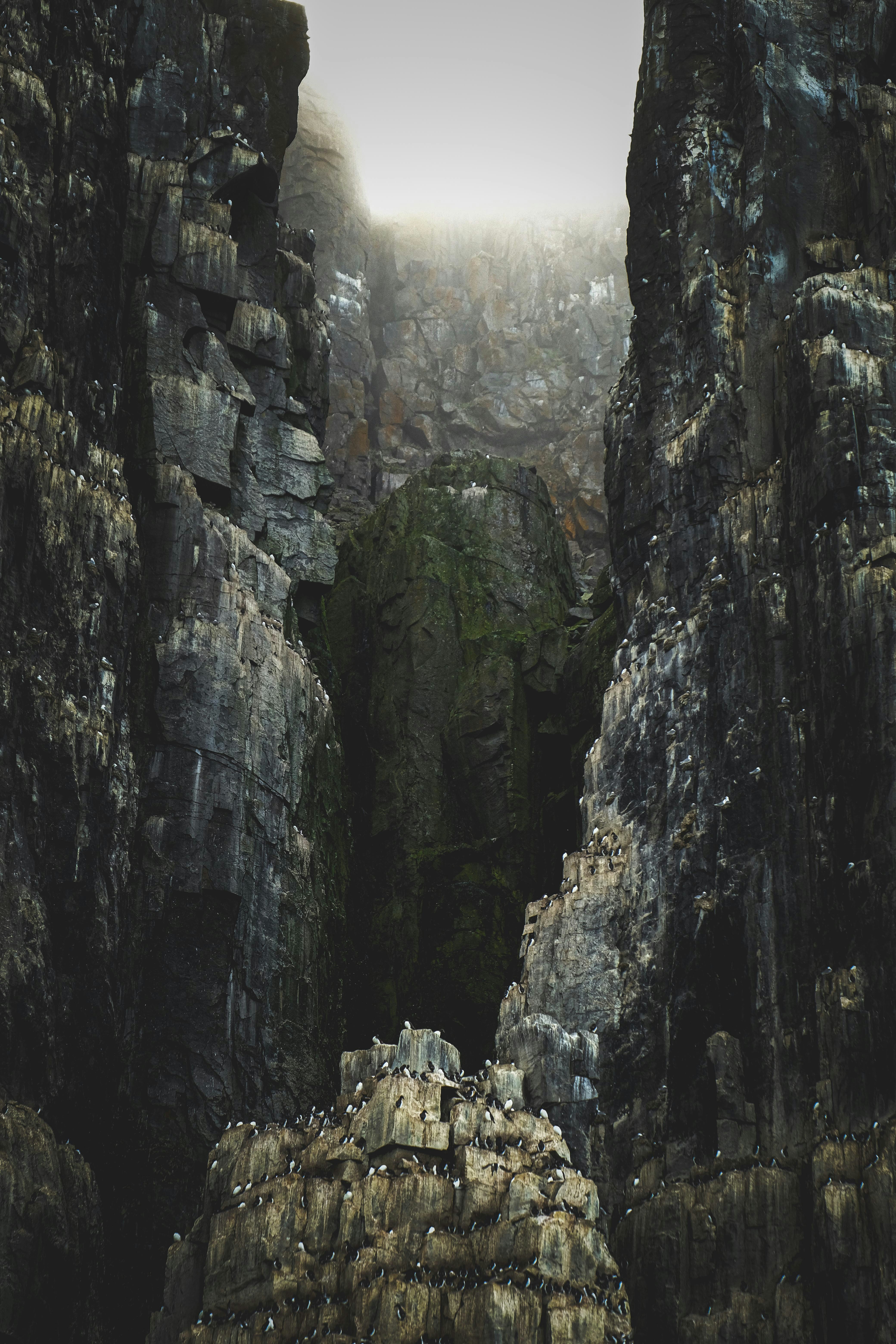 Photo by francesco_ungaro