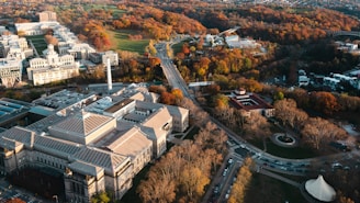 Aerial view of a cityscape featuring a large museum-like building with a triangular roof, surrounded by a mix of modern and historic architectures. The landscape is dotted with trees showcasing vibrant autumn colors. Roads and cars are visible, creating a sense of urban life, while a park area with open green spaces and walkways adds natural beauty.