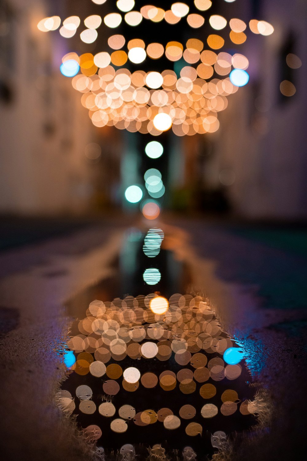 a reflection of a tree in a puddle of water