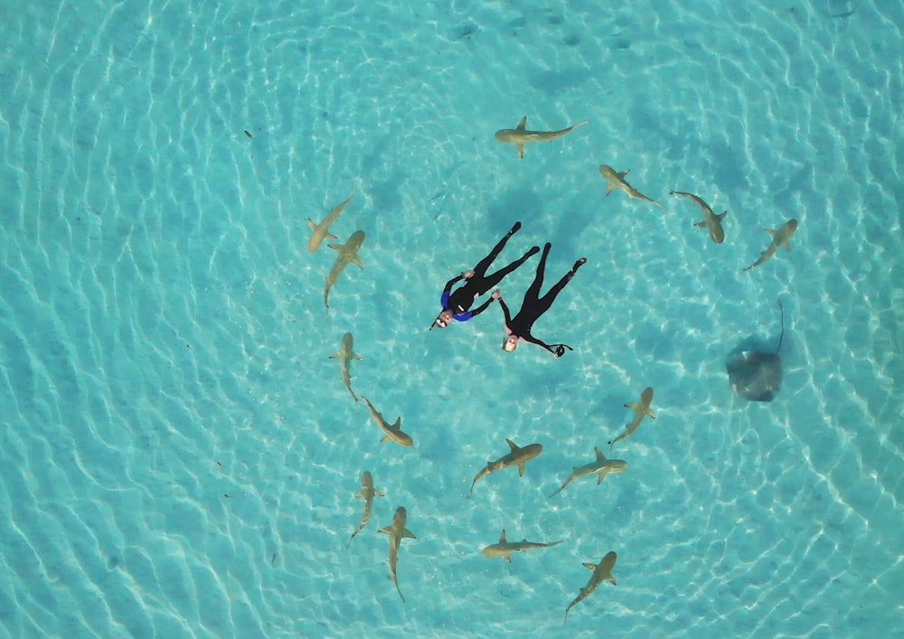 two people swimming in the ocean surrounded by fish