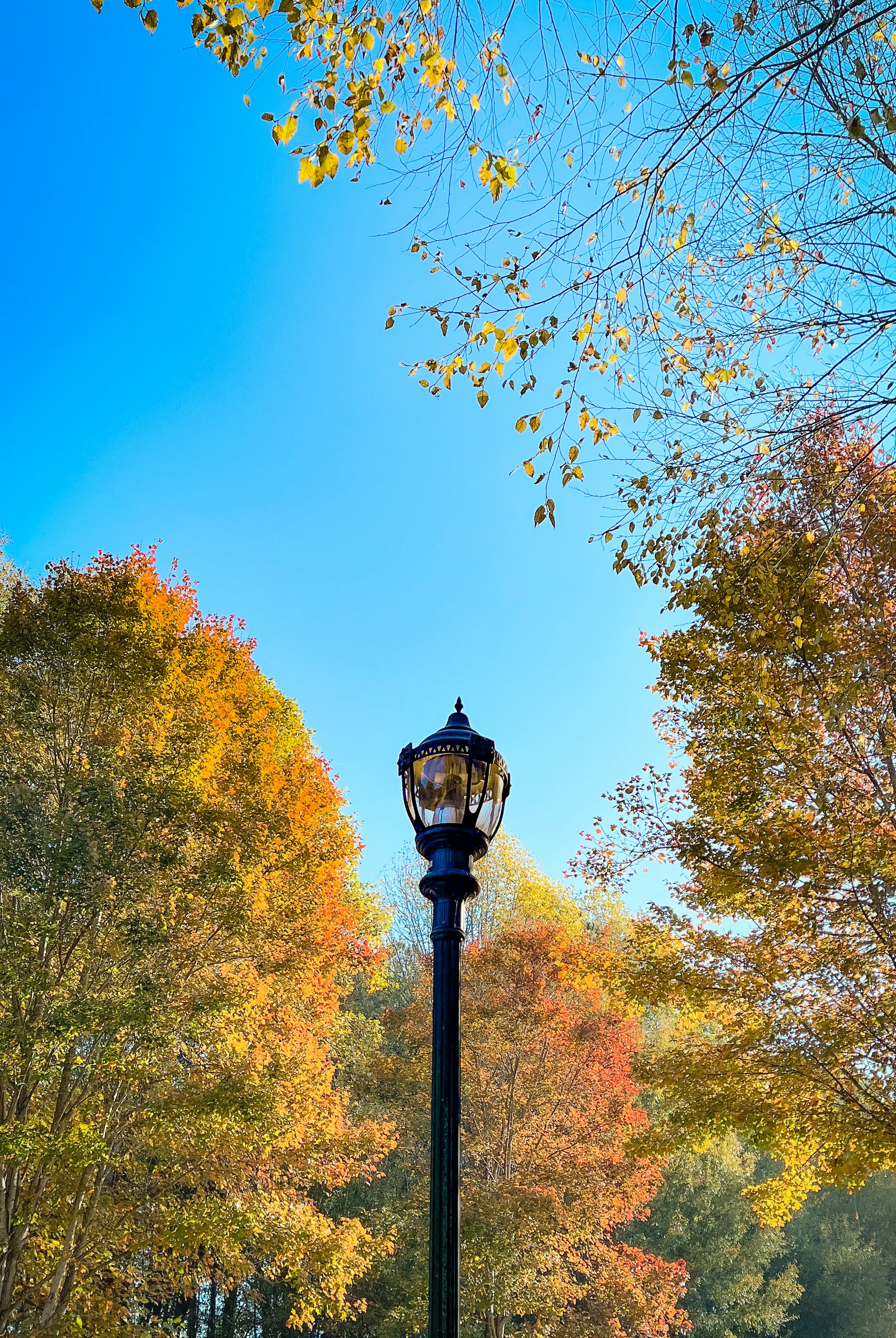 Photo by johnlee71421