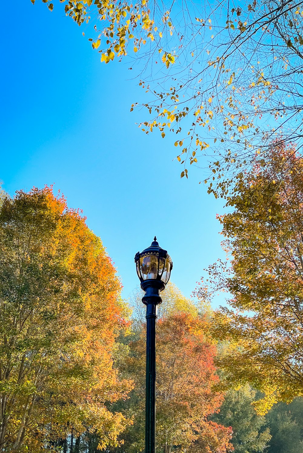 a lamp post in the middle of a park