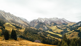 A scenic view of a mountainous landscape with snow-capped peaks and lush green valleys. The foreground features a mix of trees and shrubs, leading to a small, lonely house nestled amidst the greenery. The sky is overcast, adding a serene and calm atmosphere.