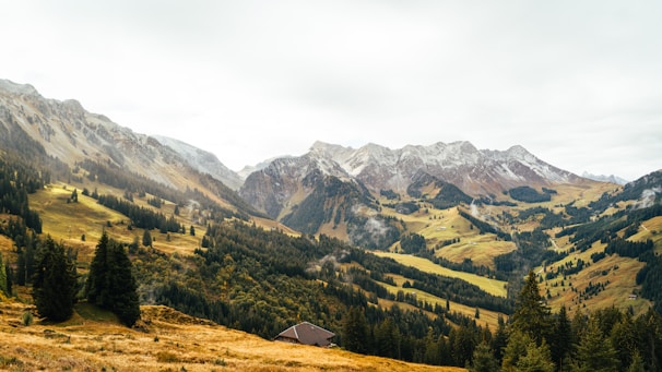 A scenic view of a mountainous landscape with snow-capped peaks and lush green valleys. The foreground features a mix of trees and shrubs, leading to a small, lonely house nestled amidst the greenery. The sky is overcast, adding a serene and calm atmosphere.