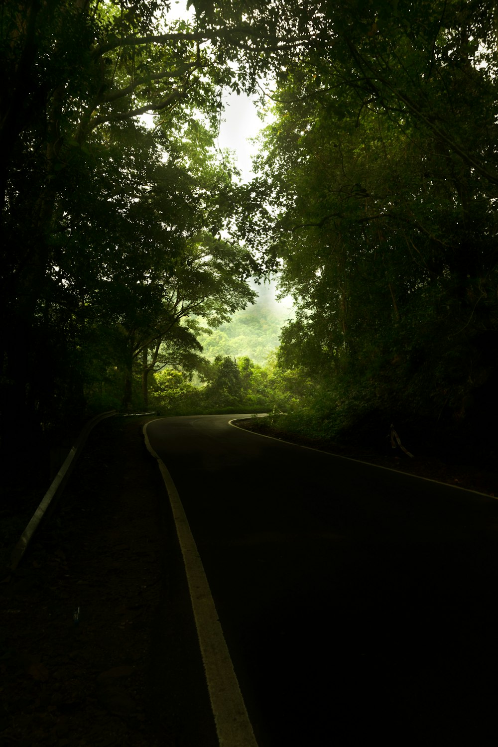 an empty road in the middle of a forest