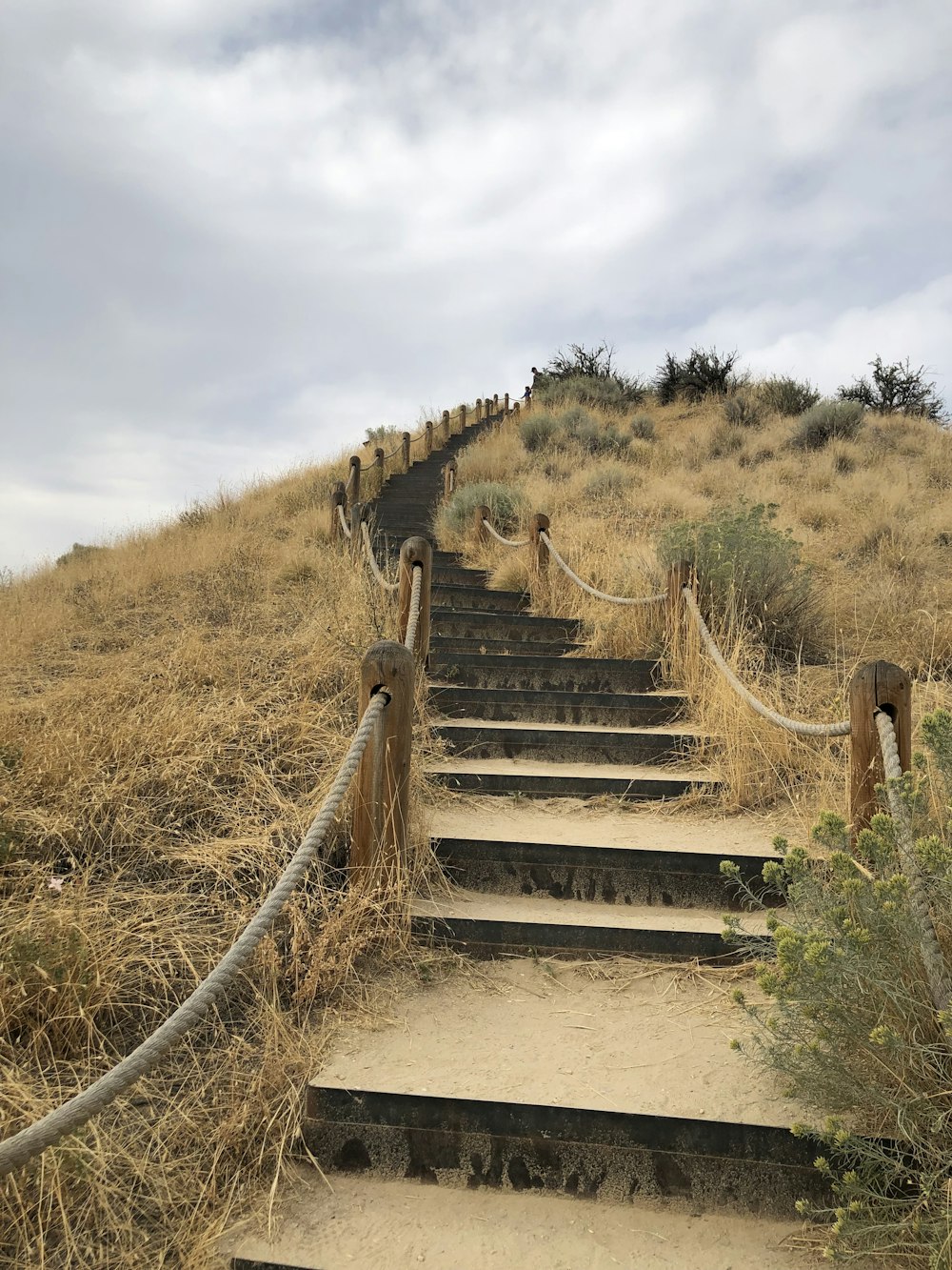 un conjunto de escaleras que suben una colina