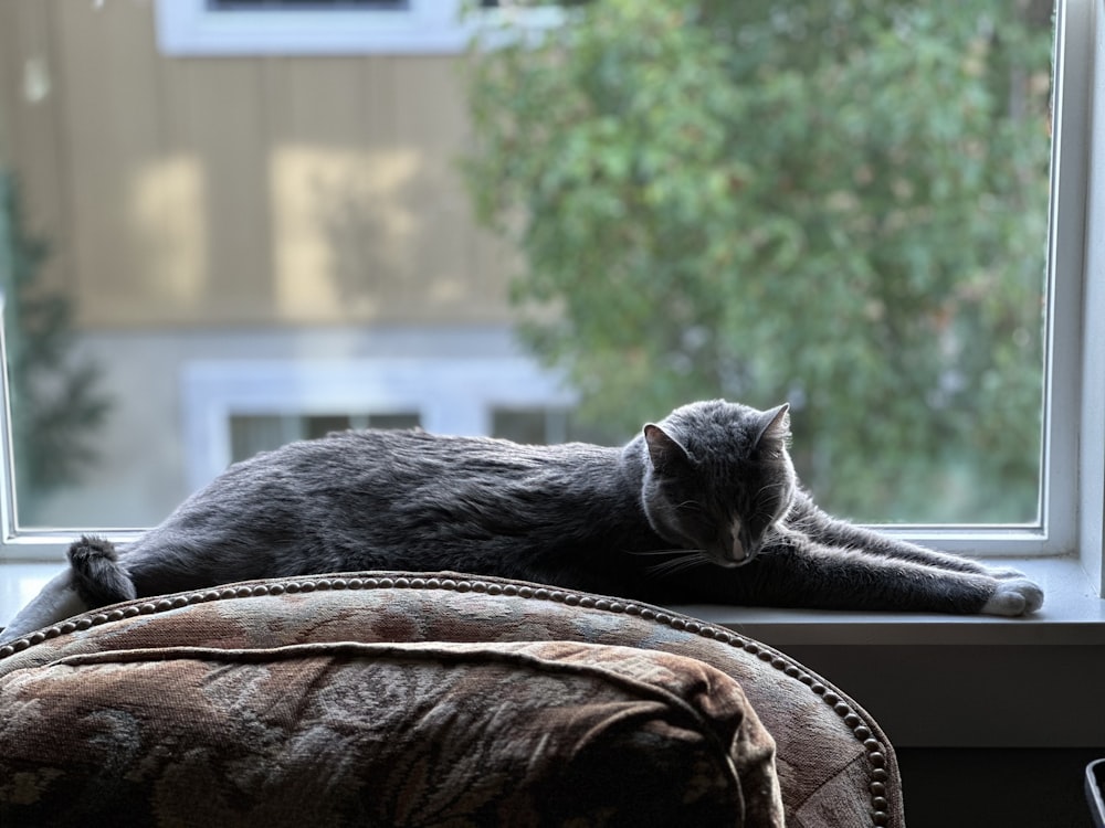 a cat laying on a window sill next to a chair