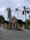 A red brick church with a prominent cross at the top is surrounded by tall palm trees and a wrought iron gate. The entrance path is paved with concentric circular patterns, and the sky appears overcast.