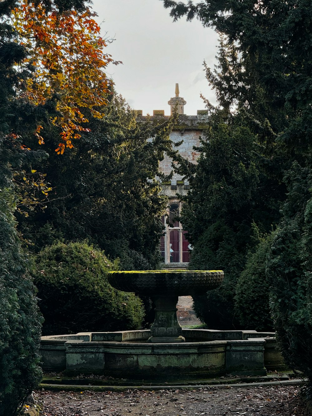 a fountain surrounded by trees in a park