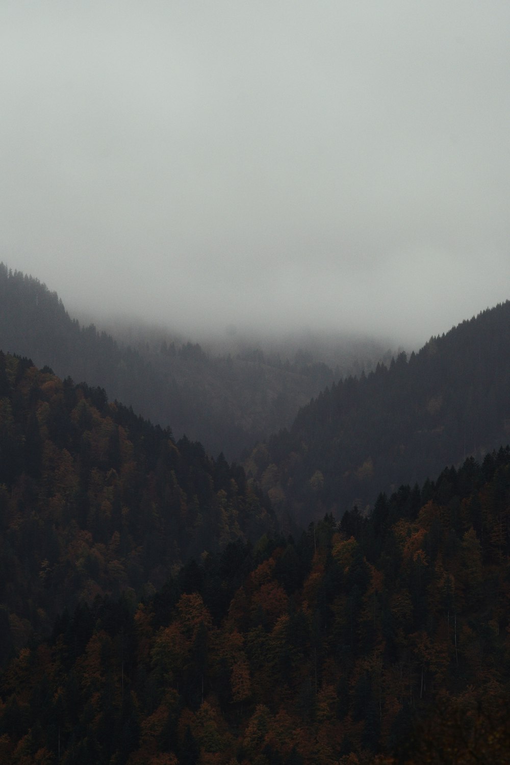 a plane flying over a mountain covered in fog