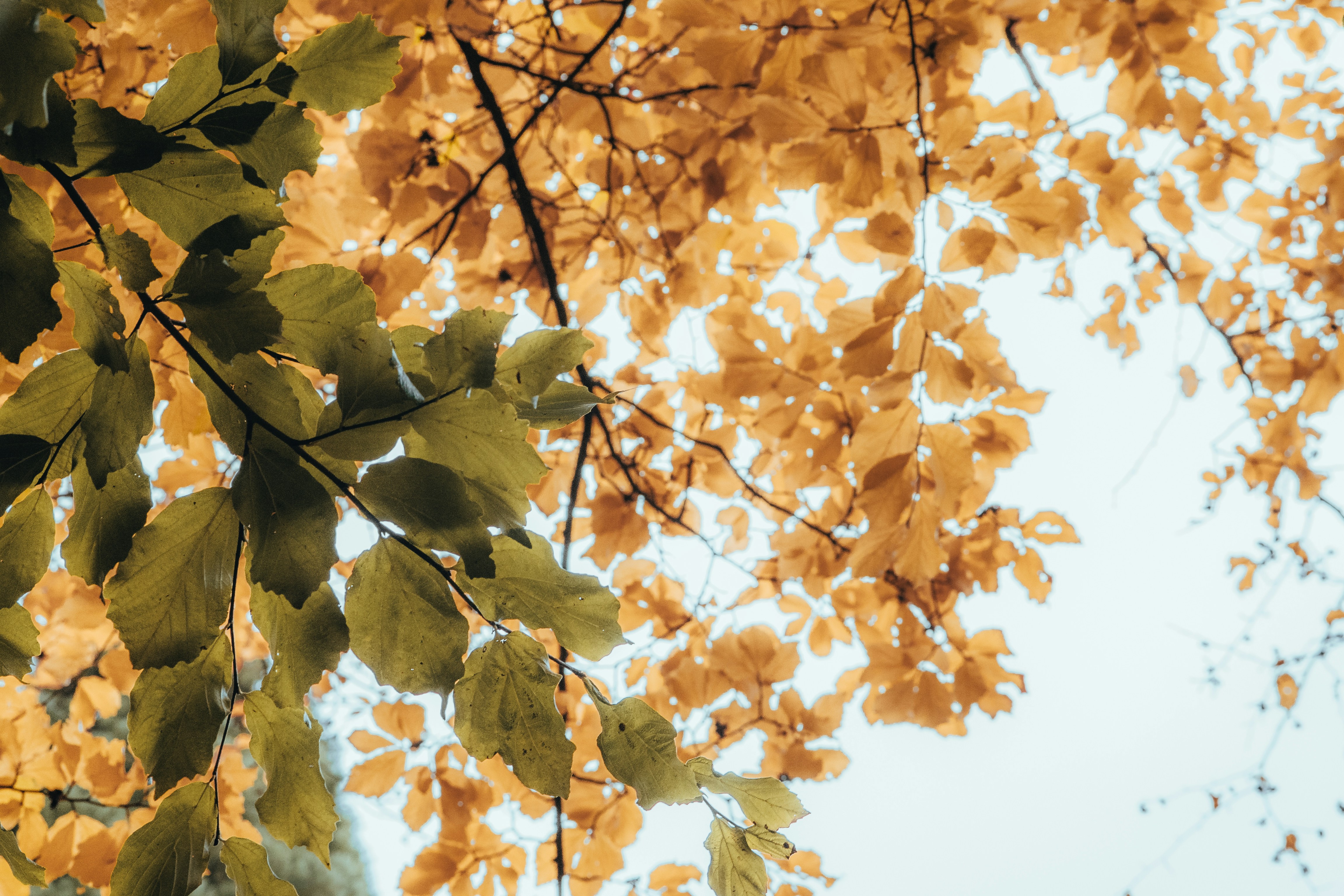 Photo by masoodaslami