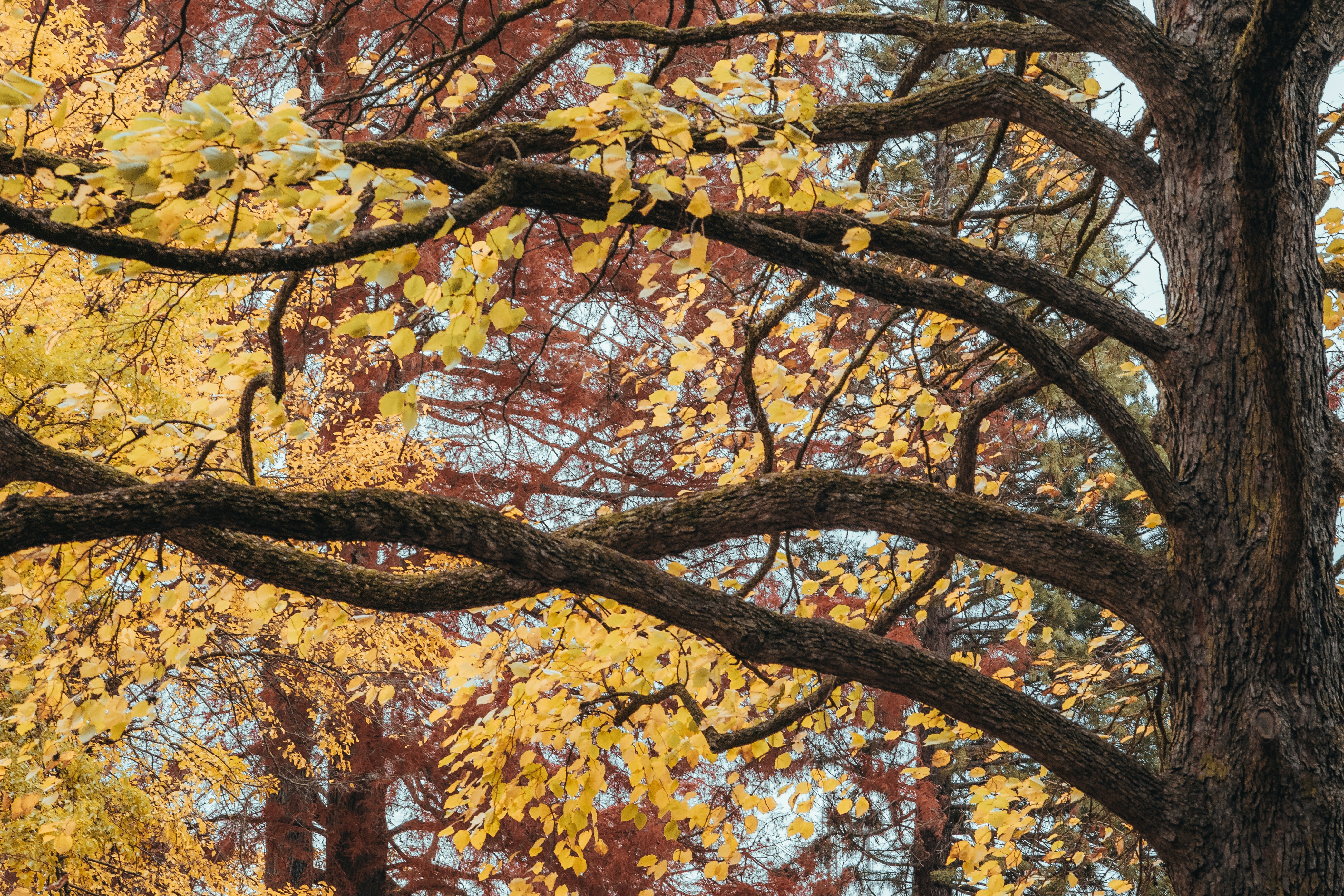 Photo by masoodaslami