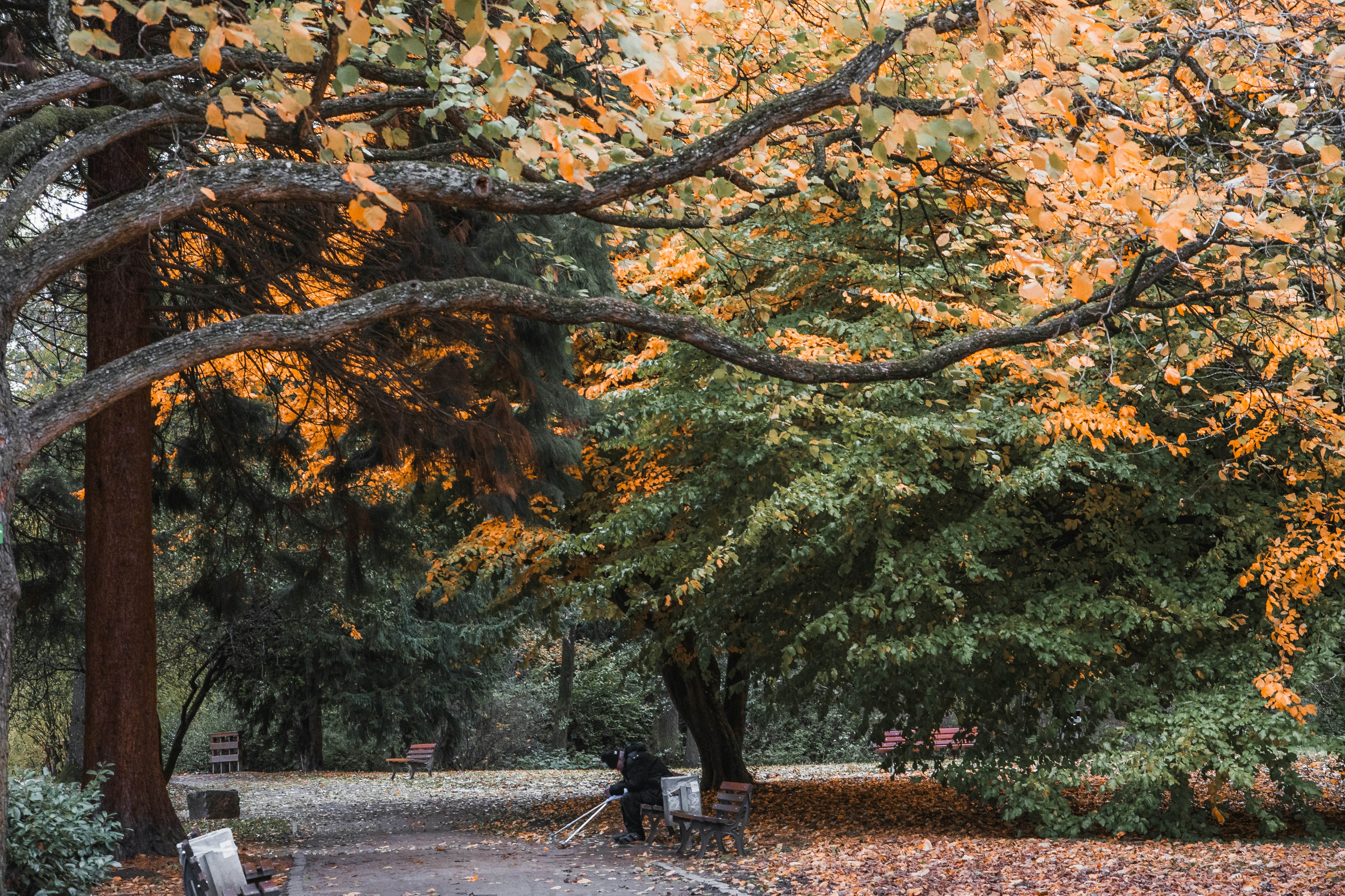 Photo by masoodaslami