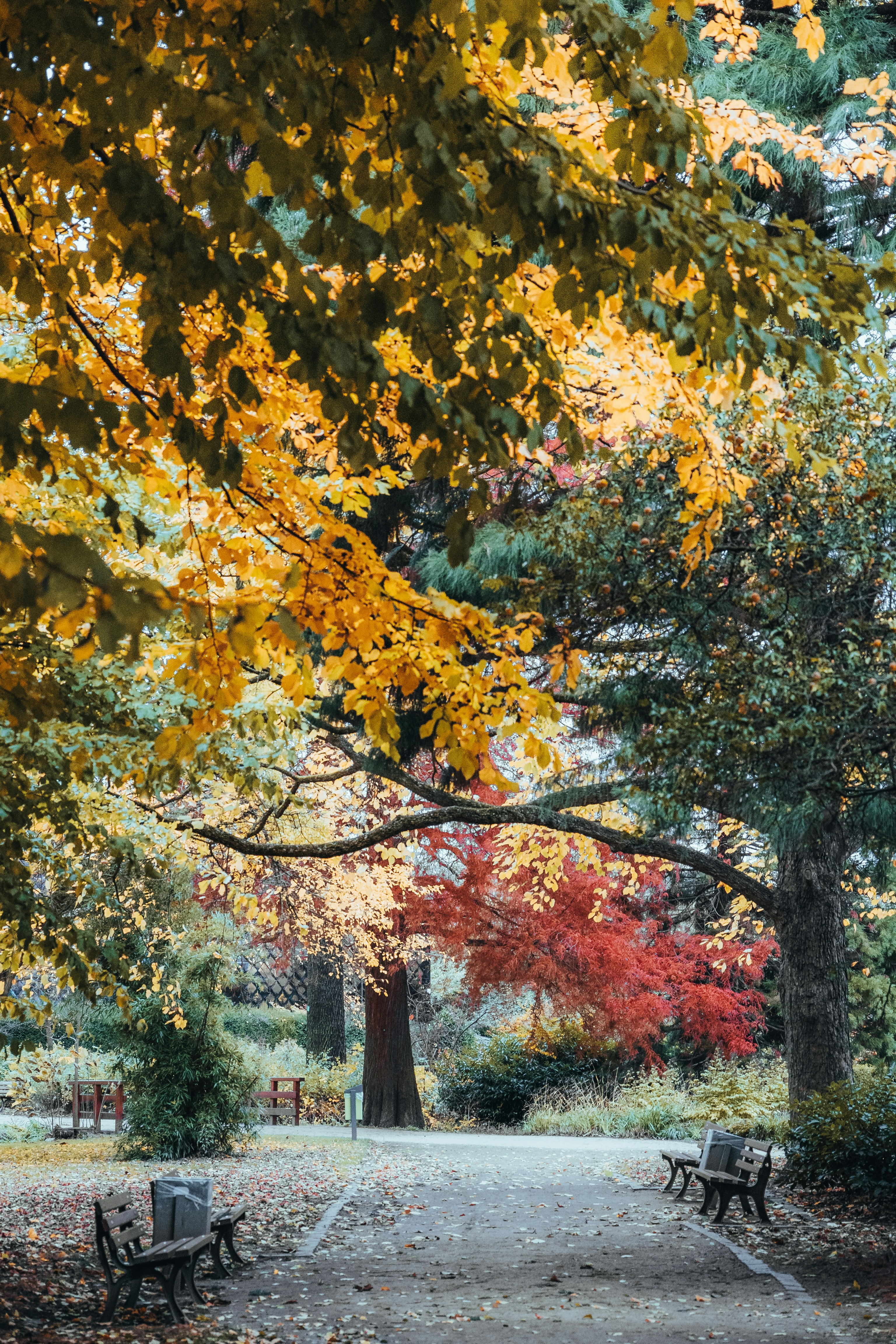 Photo by masoodaslami