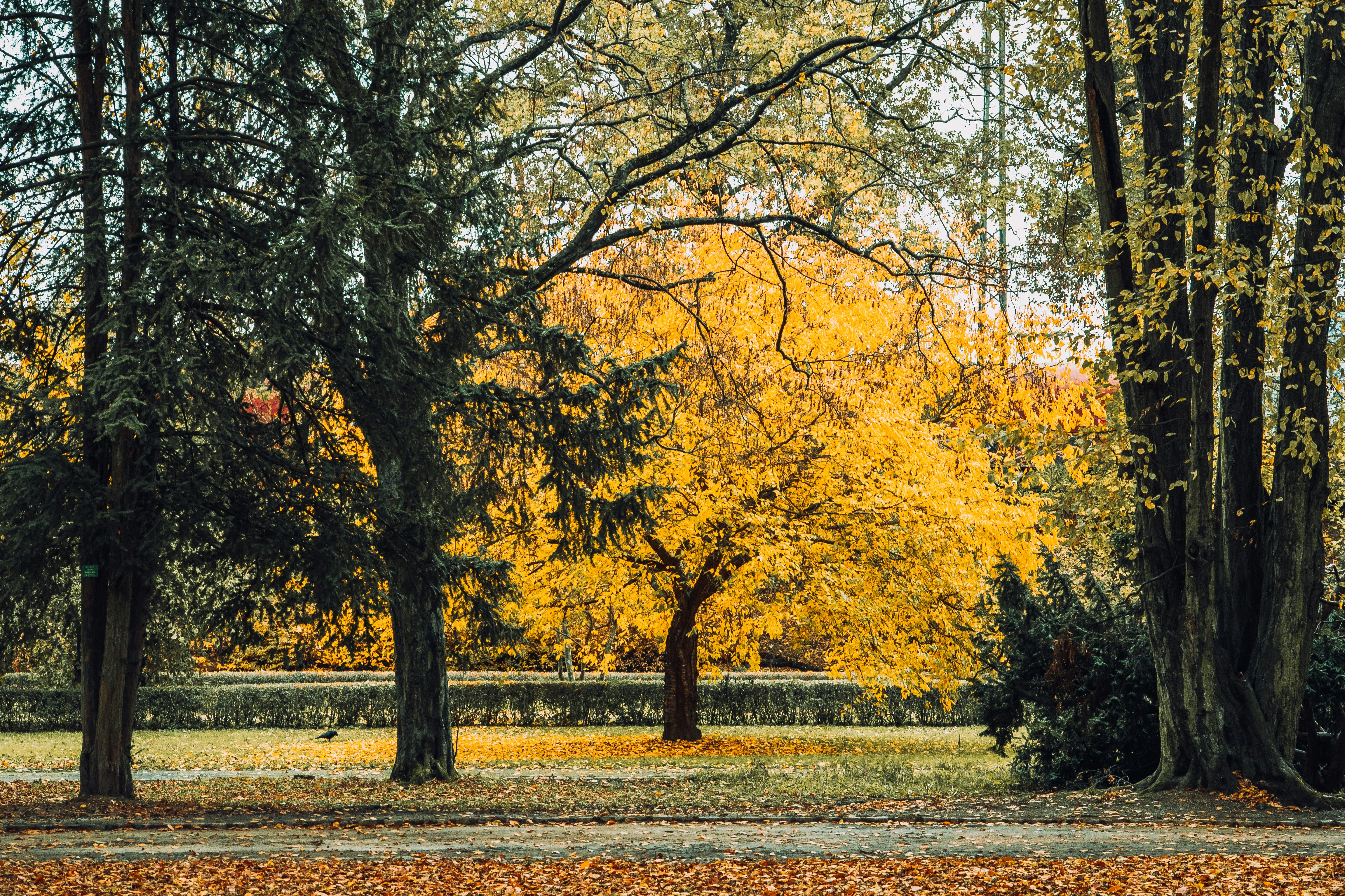 Photo by masoodaslami