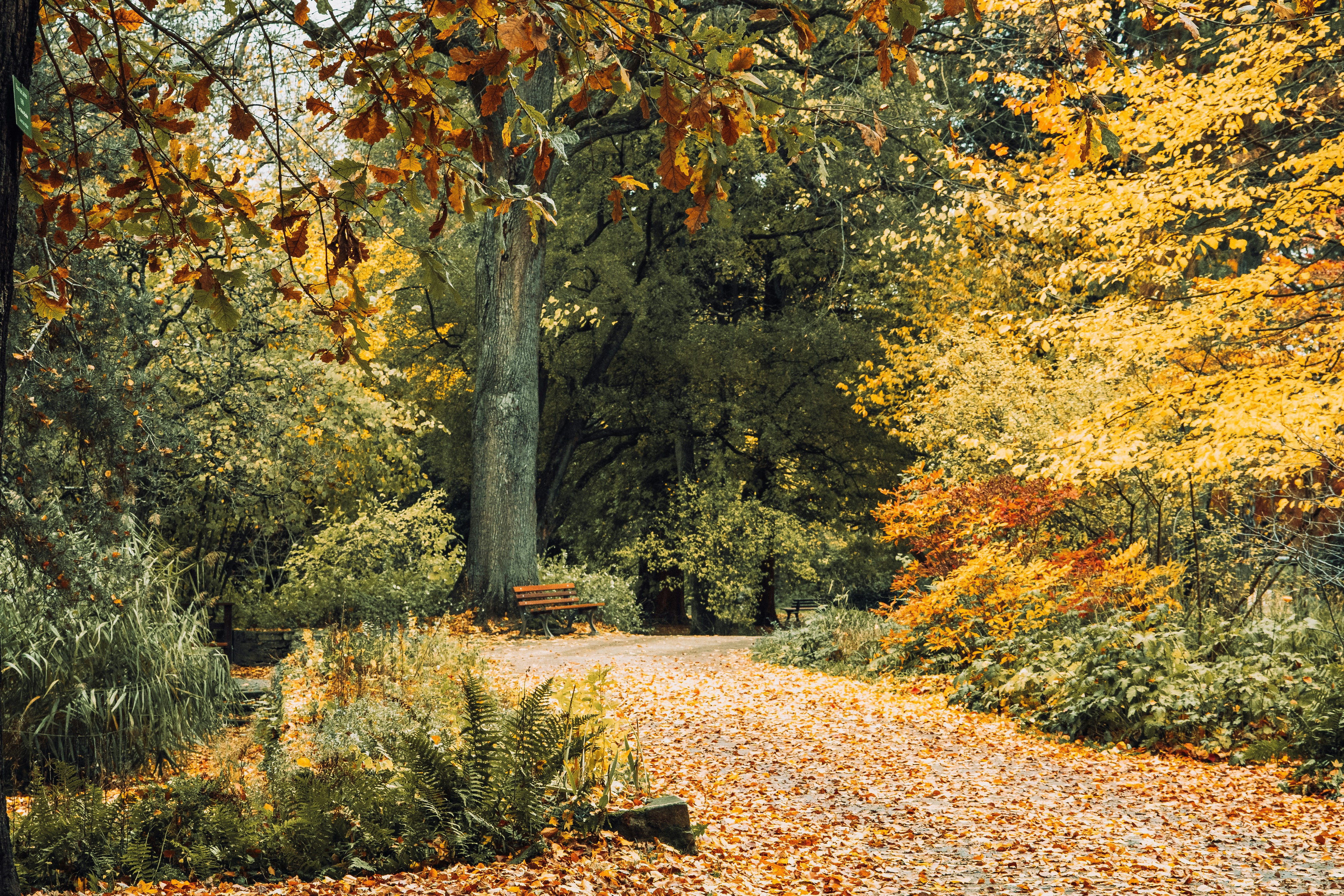 Photo by masoodaslami