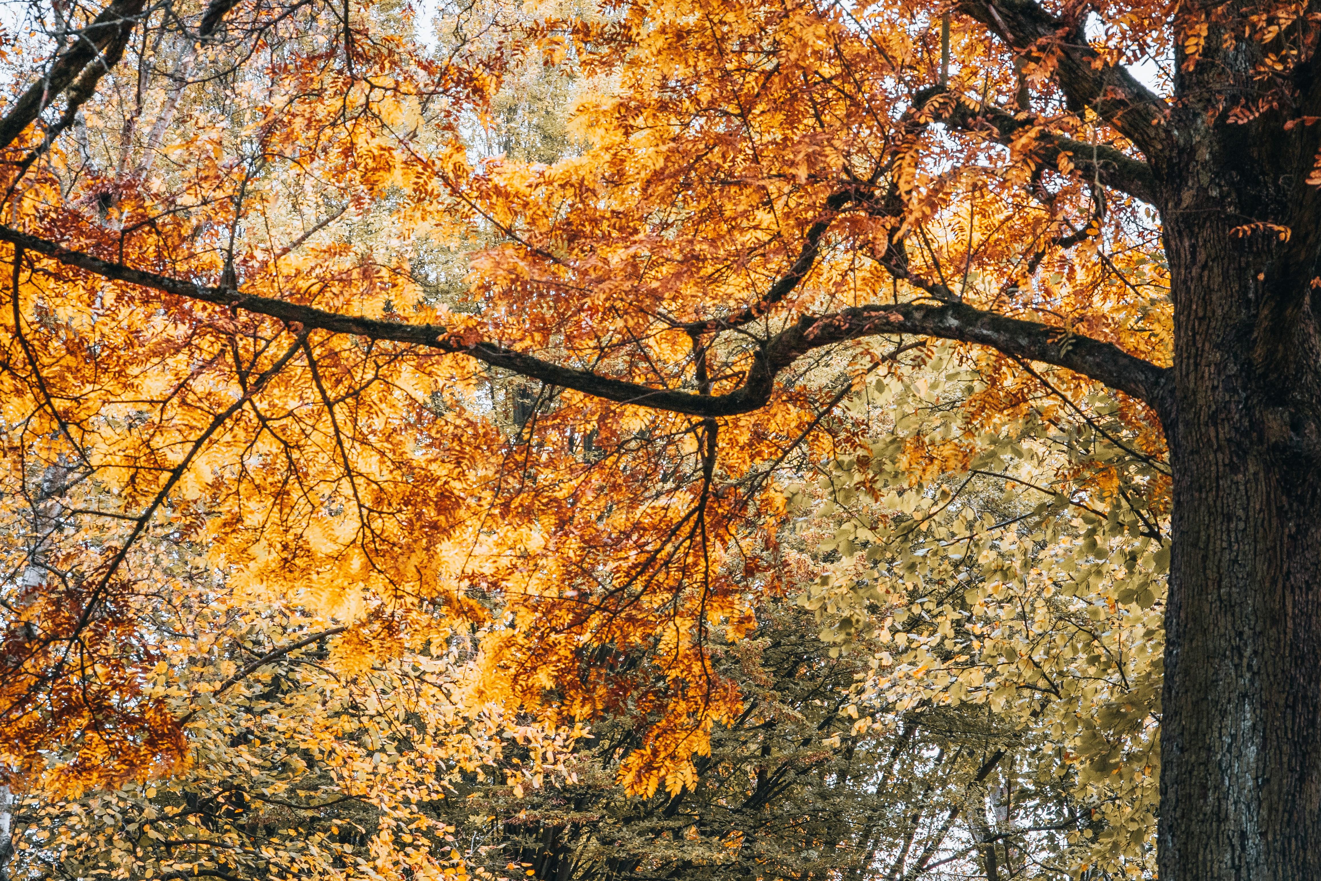 Photo by masoodaslami