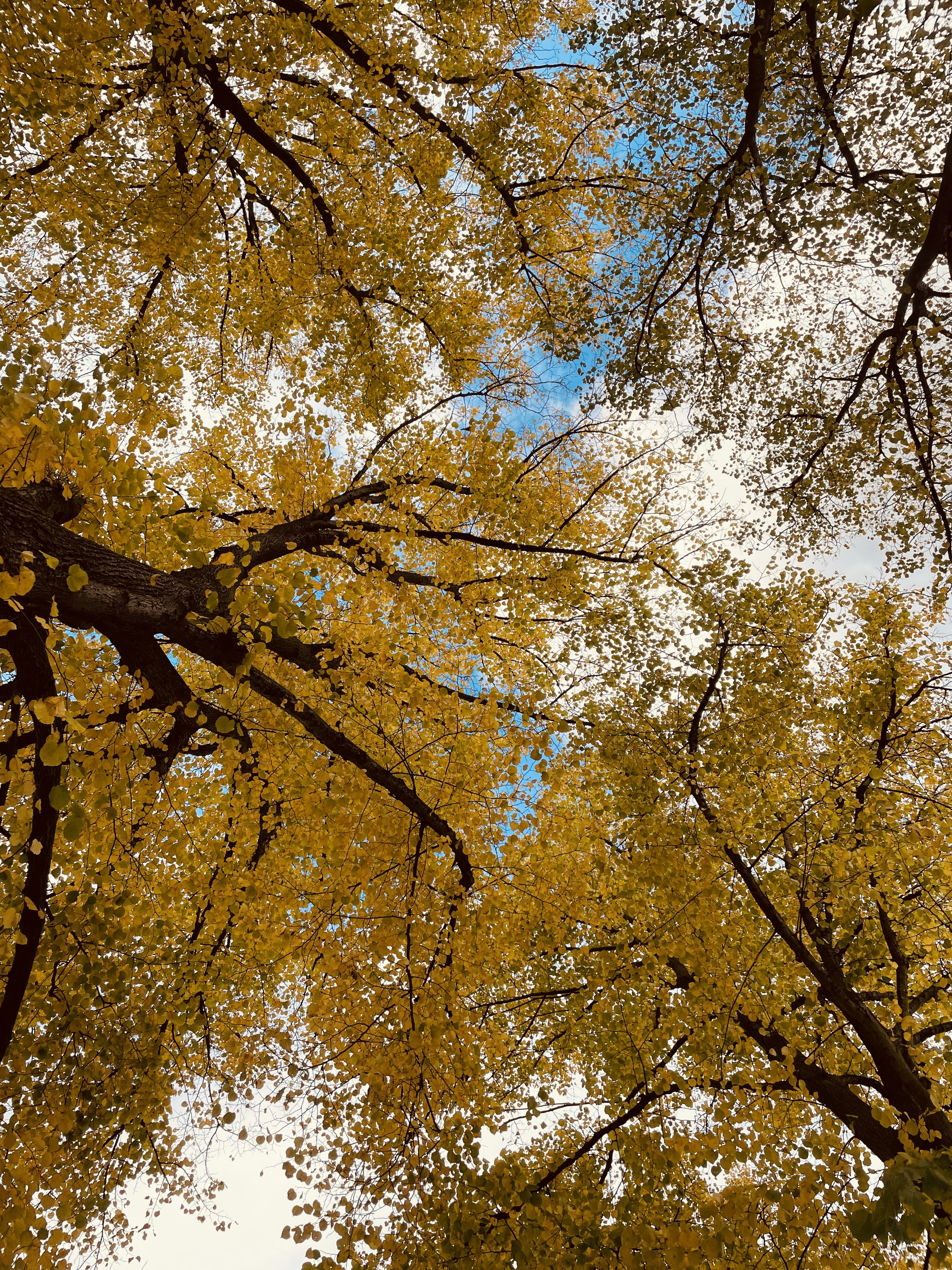 Photo by raysof_flash