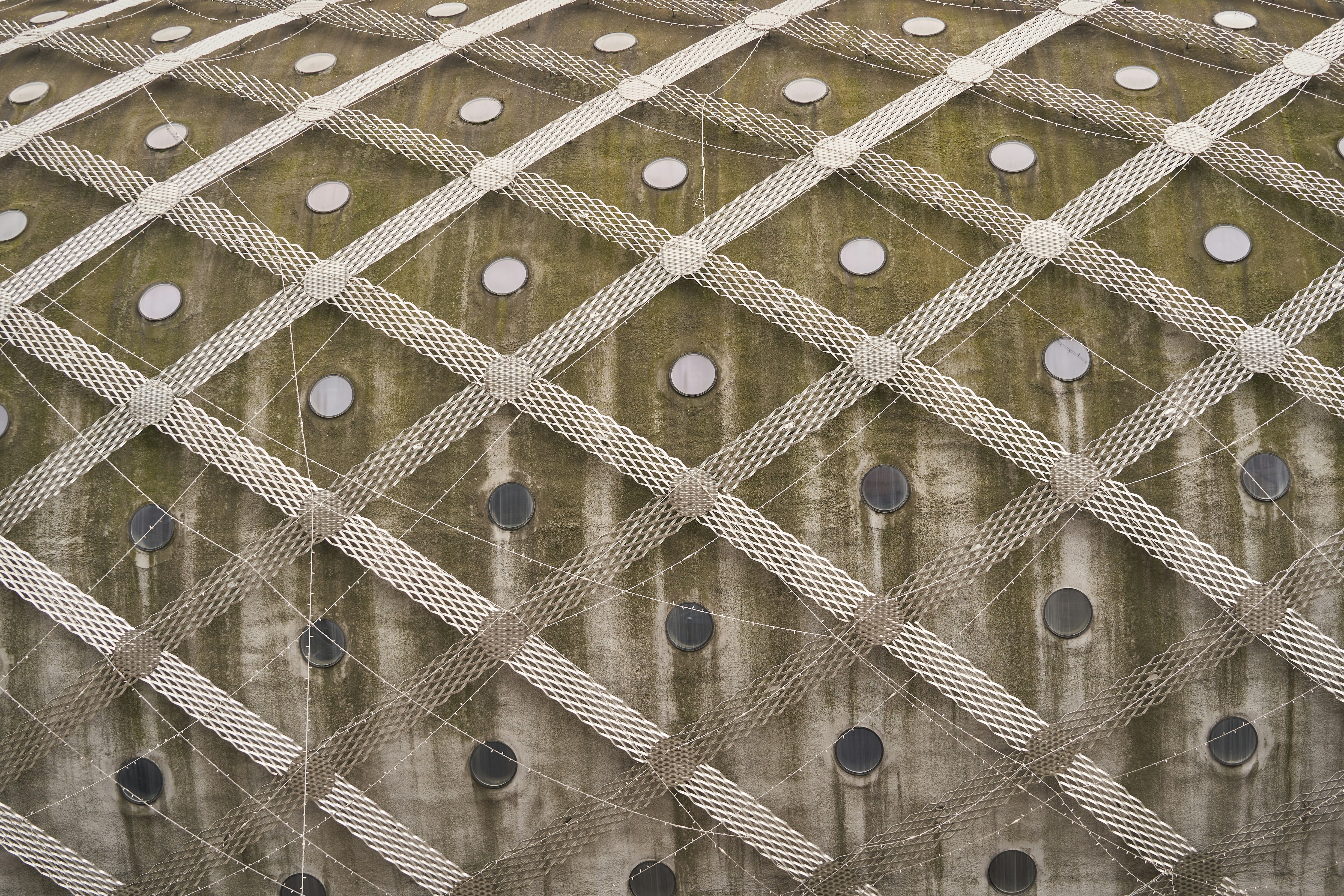 Photo by wolfgang_hasselmann